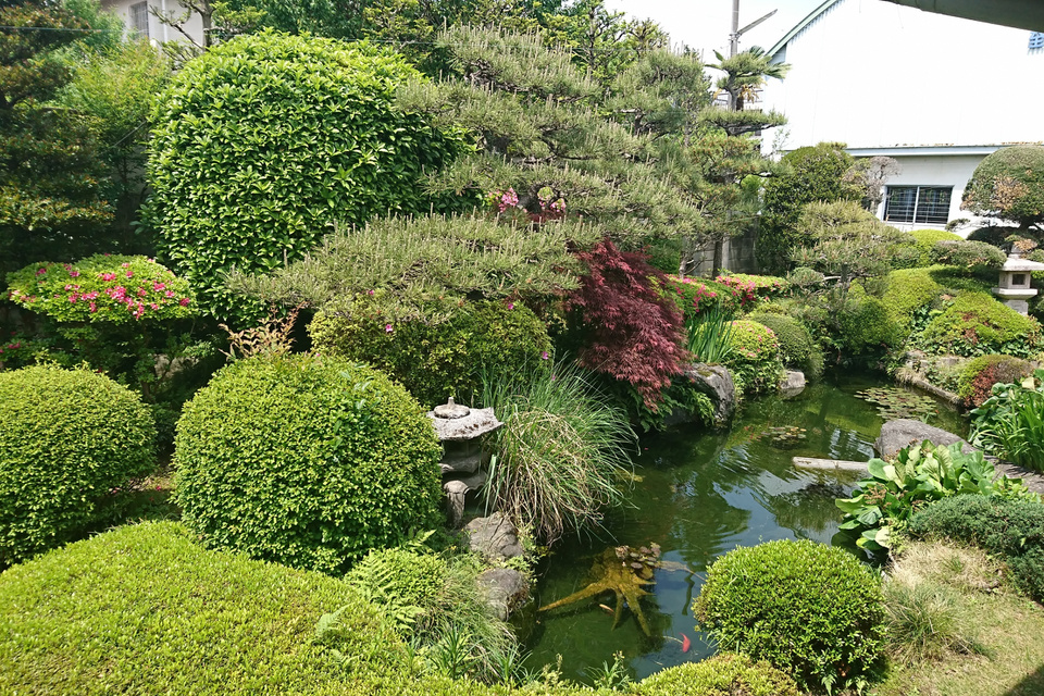 滝澤病院日本庭園